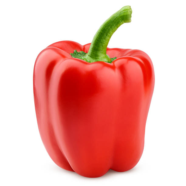 Red Capsicum 